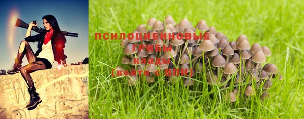 таблы Ачинск