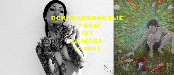 ГАЛЛЮЦИНОГЕННЫЕ ГРИБЫ Лабытнанги