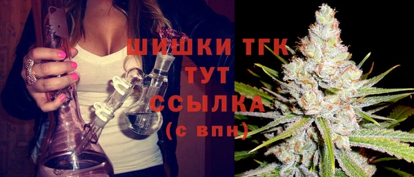 ГАЛЛЮЦИНОГЕННЫЕ ГРИБЫ Лабытнанги