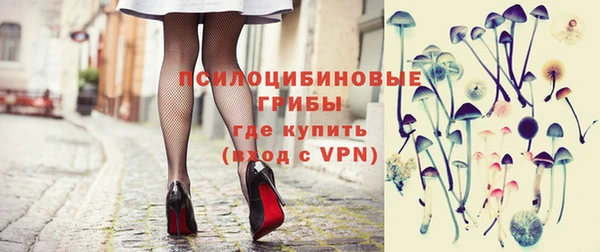 ГАЛЛЮЦИНОГЕННЫЕ ГРИБЫ Лабытнанги