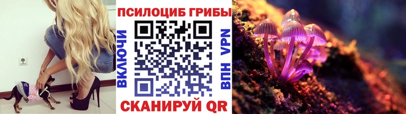 МЕГА сайт  цены   Юрга  Галлюциногенные грибы мицелий 